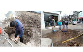 Fotos: Sindicato Municipal Arroyo Seco