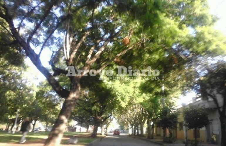 Imagen de Despejado: así se muestra el cielo este miércoles