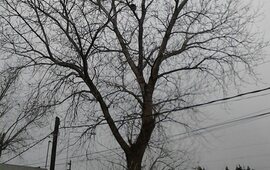 La foto fue enviada por el vecino que hace el reclamo.