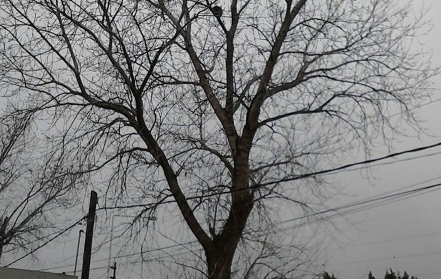 La foto fue enviada por el vecino que hace el reclamo.