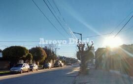 Imagen de Un jueves para estar debajo del sol