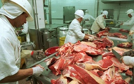 Imagen de Paro en frigoríficos por reclamo salarial