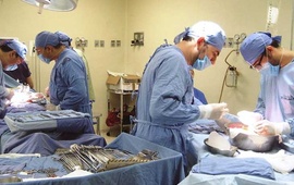 Imagen de Santa Fe ganó 35 mil donantes