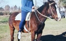 Se busca. Este es el animal que robaron esta madrugada en El Ombú