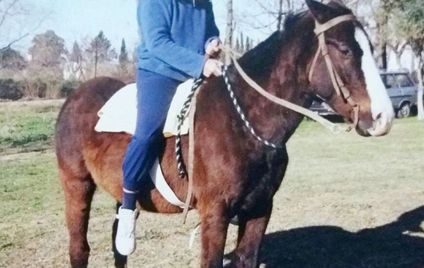 Se busca. Este es el animal que robaron esta madrugada en El Ombú