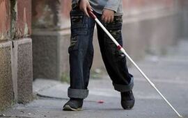 Imagen de Discapacidad y Derechos Humanos: la materia itinerante de la UNR