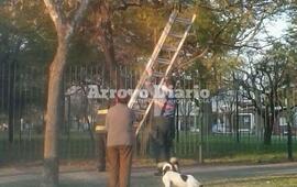 Siempre colaborando. Los bomberos acudieron al llamado alrededor de las 6 de la tarde de este miércoles.