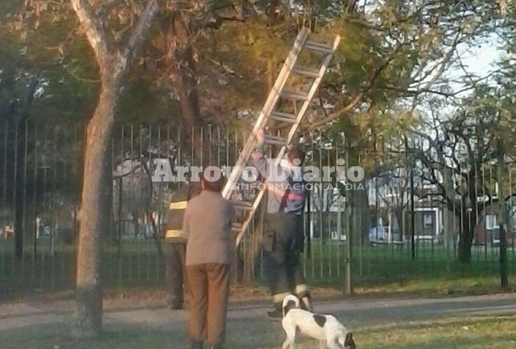 Siempre colaborando. Los bomberos acudieron al llamado alrededor de las 6 de la tarde de este miércoles.