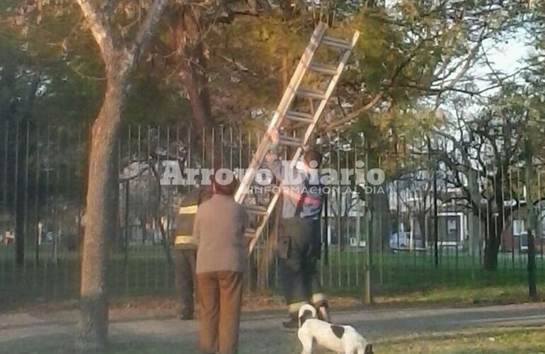 Siempre colaborando. Los bomberos acudieron al llamado alrededor de las 6 de la tarde de este miércoles.
