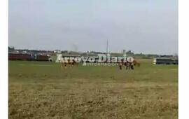 Foto. captura de pantalla de video