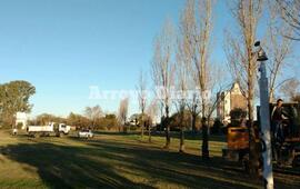 Cambia. El paisaje en la estaci&oacute;n comienza a verse distinto.