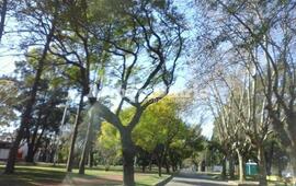 Imagen de La semana arrancó fresca pero el sol no nos abandona