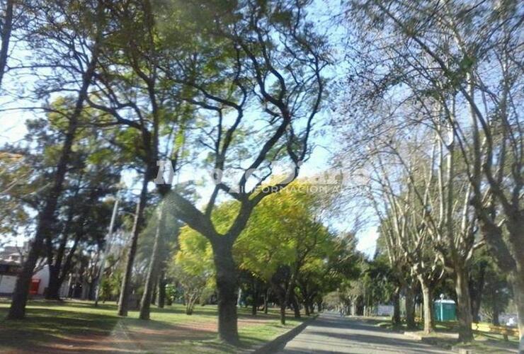 Imagen de La semana arrancó fresca pero el sol no nos abandona