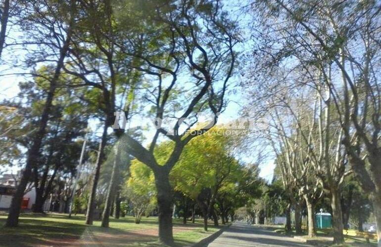 Imagen de La semana arrancó fresca pero el sol no nos abandona