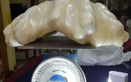 10 años. El hombre que la encontró la tuvo 10 años resguardada ya que la conservó como un talismán