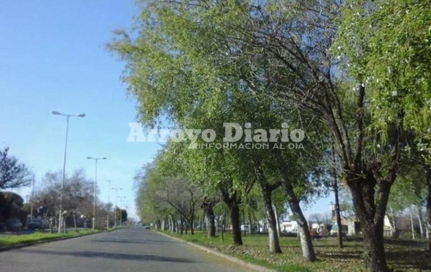 Imagen de Jueves con sol a pleno