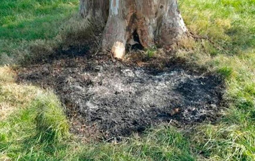 Imagen de La apu&ntilde;alaron, metieron el cad&aacute;ver en una valija y lo quemaron
