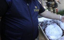 Foto: Imagen Ilustrativa