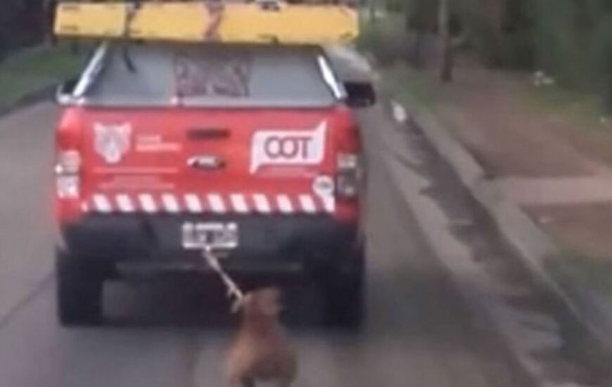 Foto: captura de pantalla video