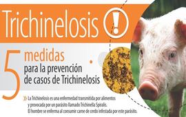 Imagen de Recomendaciones de la oficina ASSAL Arroyo Seco para prevenir la Trichinelosis