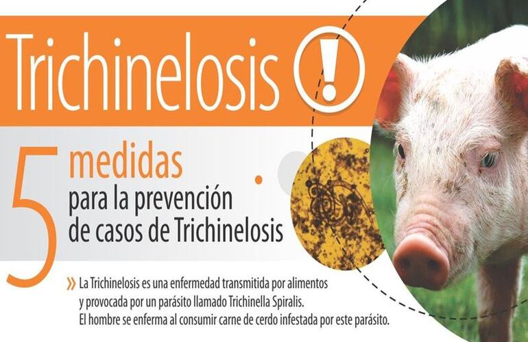 Imagen de Recomendaciones de la oficina ASSAL Arroyo Seco para prevenir la Trichinelosis