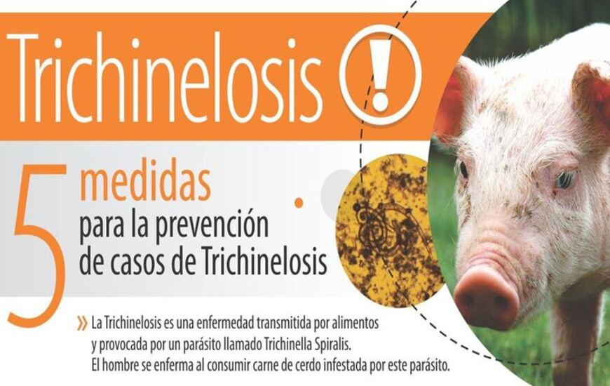 Imagen de Recomendaciones de la oficina ASSAL Arroyo Seco para prevenir la Trichinelosis