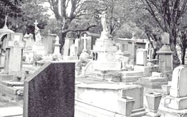 Foto: Imagen Ilustrativa