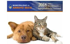 Imagen de Arroyo Seco: Vacunación Antirrábica Gratuita para perros y gatos