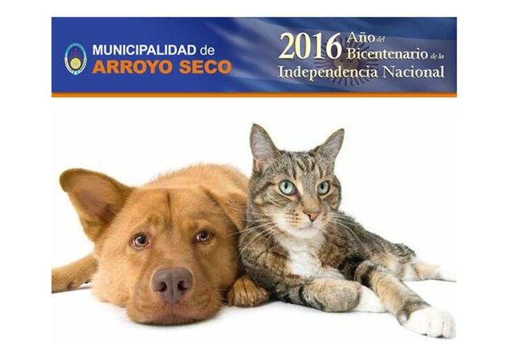 Imagen de Arroyo Seco: Vacunación Antirrábica Gratuita para perros y gatos