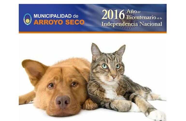 Imagen de Arroyo Seco: Vacunación Antirrábica Gratuita para perros y gatos