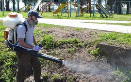 Fotos: Gentileza Comuna de General Lagos.