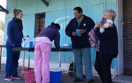 Buena respuesta. Según Martín Livolti, del área de Acción Social, unas 50 personas con sus mascotas se habían acercado a los galpones del ferrocarril sin contar las aplicaciones que se hicieron en el refugio.