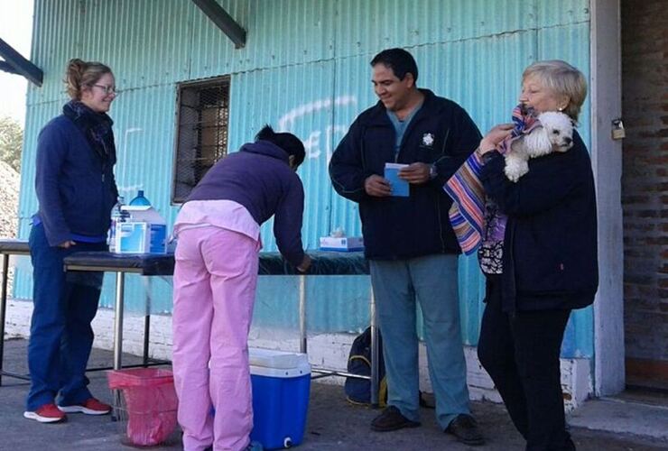 Buena respuesta. Según Martín Livolti, del área de Acción Social, unas 50 personas con sus mascotas se habían acercado a los galpones del ferrocarril sin contar las aplicaciones que se hicieron en el refugio.