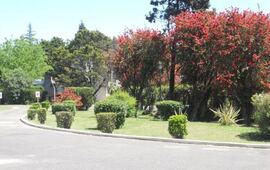 Motel Oasis, en Ibarlucea.