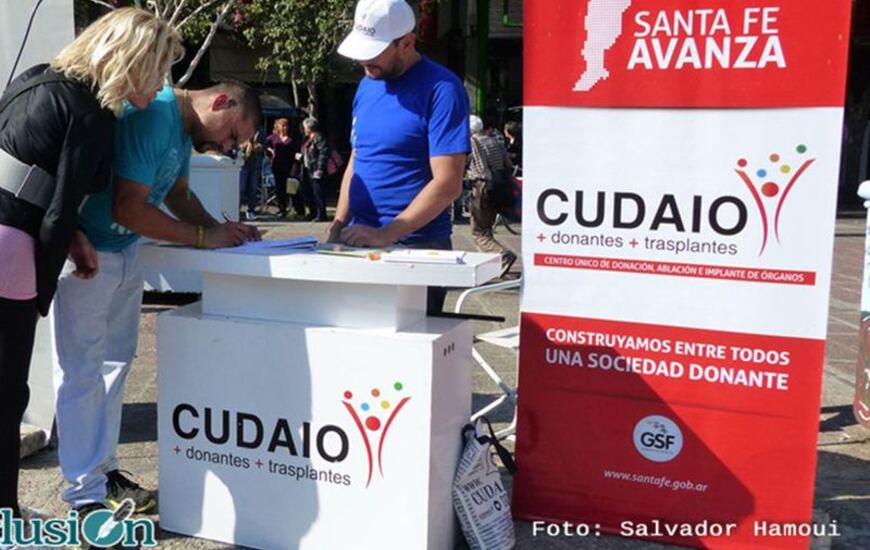 Foto: Salvador Hamoui. Conclusión.