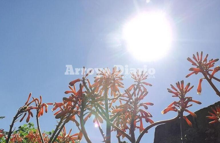 Imagen de Espléndido sábado para salir al sol!