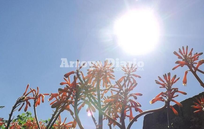 Imagen de Espléndido sábado para salir al sol!