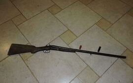 Lo desarmaron. Las v&iacute;ctimas sorprendieron al delincuente y le arrebataron la escopeta. Foto: Diario El Sur