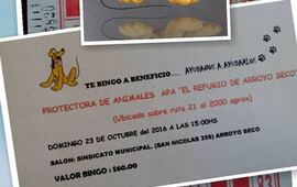 Imagen de T&eacute; � Bingo a Beneficio del Refugio Arroyo Seco