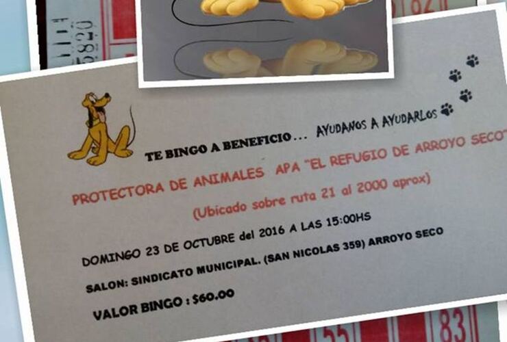 Imagen de Té  Bingo a Beneficio del Refugio Arroyo Seco