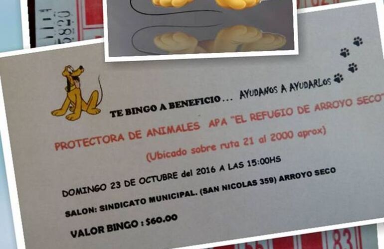 Imagen de Té  Bingo a Beneficio del Refugio Arroyo Seco