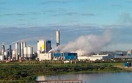 Imagen de Gualeguaychú alerta sobre peligro de contaminación por mantenimiento de la ex Botnia