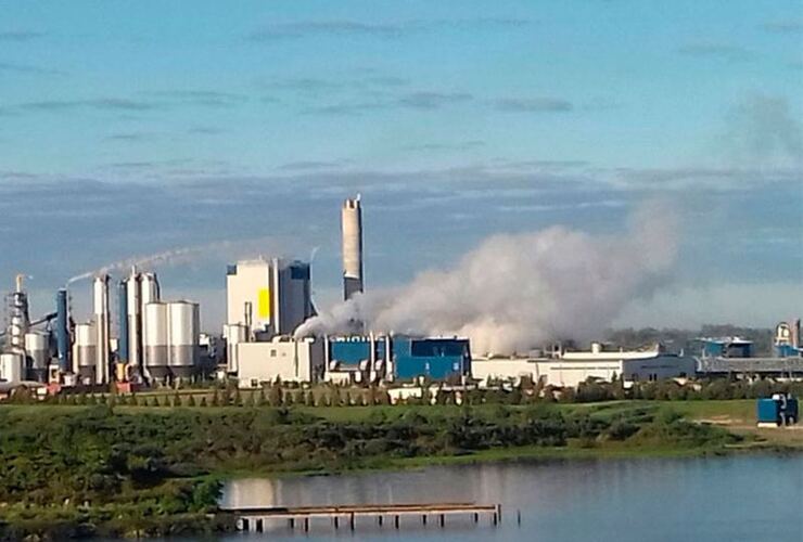 Imagen de Gualeguaychú alerta sobre peligro de contaminación por mantenimiento de la ex Botnia