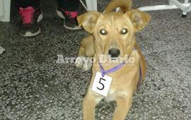 A partir de hoy. Este 1&deg; de noviembre se dio inicio a esta serie de jornadas que se espera puedan mantenerse mes tras mes.