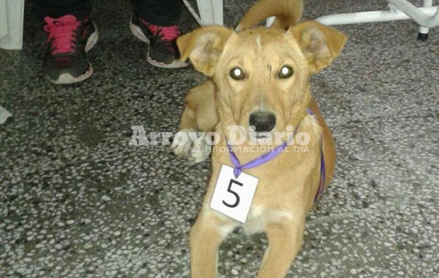 A partir de hoy. Este 1&deg; de noviembre se dio inicio a esta serie de jornadas que se espera puedan mantenerse mes tras mes.