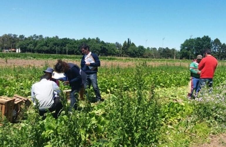 Imagen de Detectaron 21 trabajadores no registrados en campos de Pueblo Esther y Alvear