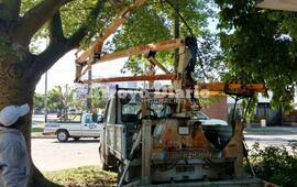 Imagen de Municipales y EPE trabajan en San Mart&iacute;n al 1300