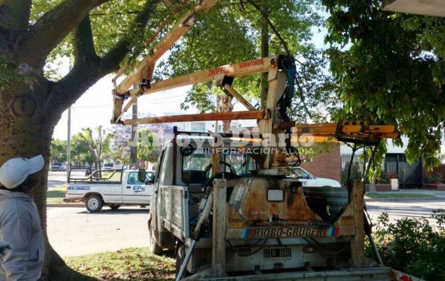 Imagen de Municipales y EPE trabajan en San Martín al 1300