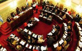 Imagen de Se aprobó en Diputados la utilización de aceite de cannabis con fines medicinales