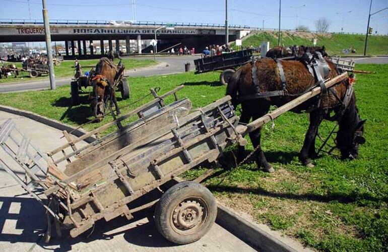 Imagen de Ocho cooperativas, 1.300 carreros y adiós a los caballos